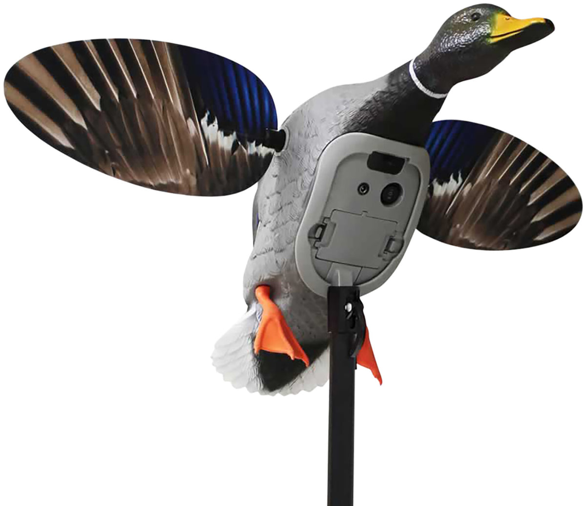 Mojo Outdoors Elite King Mallard Duck Decoy, Multi Color, Plug-In Remote Port Compatible