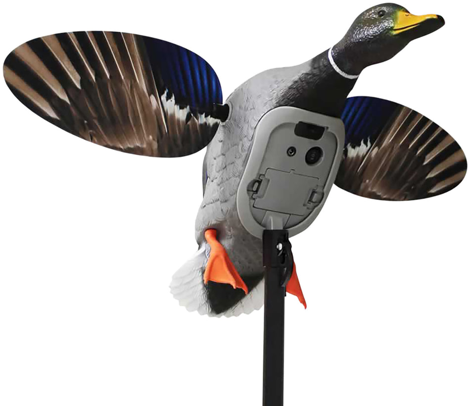 Mojo Outdoors Elite King Mallard Duck Decoy, Multi Color, Plug-In Remote Port Compatible