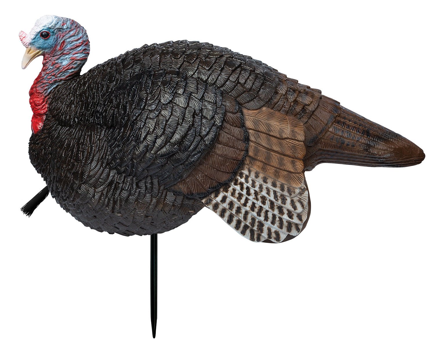 Primos 69074 Lightweight Lil' Gobstopper Jake Turkey Species Decoy, Multi Color