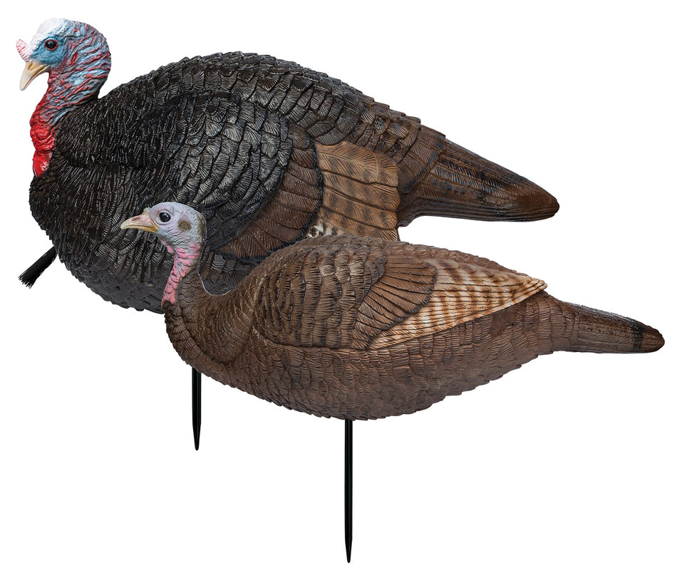Primos 69075 Lightweight Lil' Gobblestopper Jake & Hen Turkey Decoy Combo, Multi Color