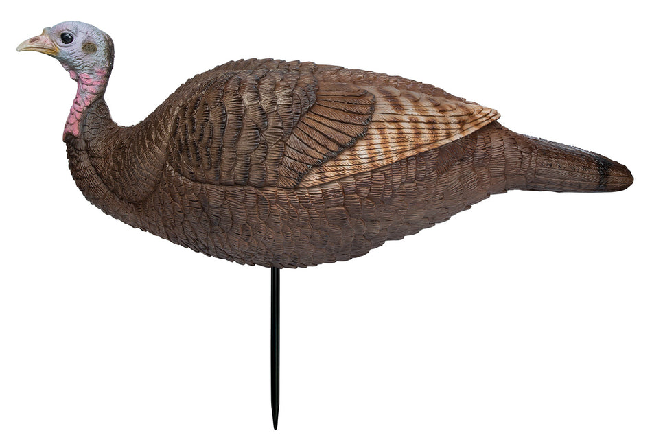 Primos 69073 Lightweight Lil Gobstopper Hen Turkey Decoy, Multi Color