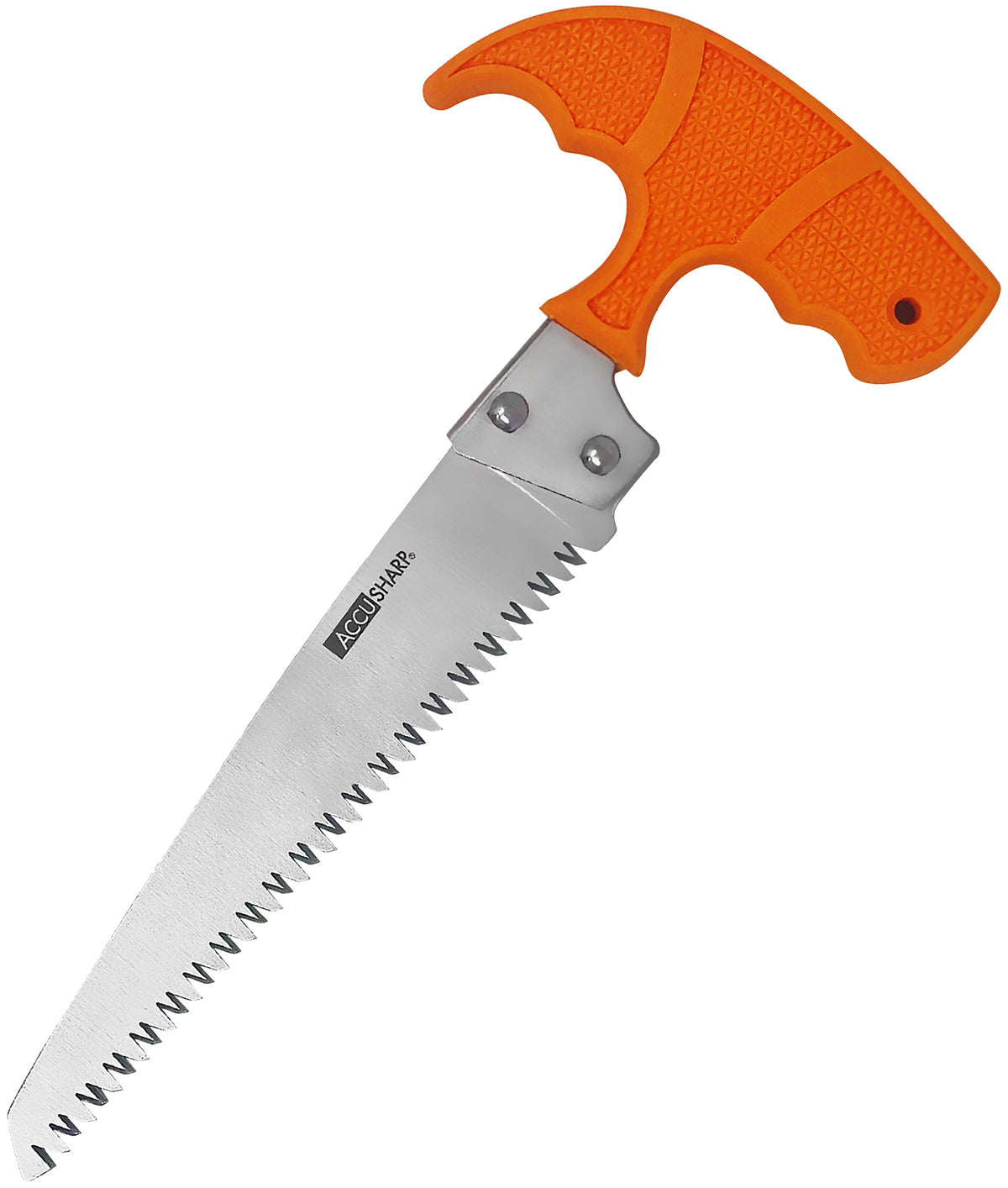 AccuSharp 730C Fixed 6" Bone Saw Stainless Steel with Textured Blaze Orange T-Handle - Includes Nylon Belt Sheath