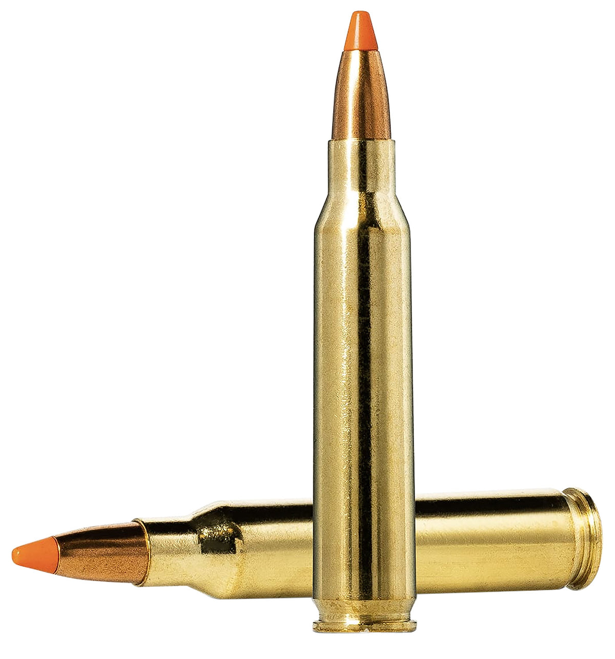 Norma Dedicated Hunting Varmint Polymer Tip 55 Grain .223 Remington 3215 fps