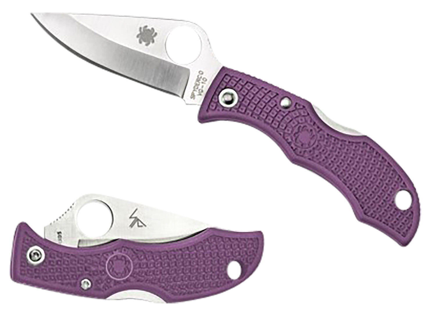 Spyderco LPRP3 Ladybug 3 Salt Folding Knife 1.94" Plain H2 Steel Blade Purple FRN Handle
