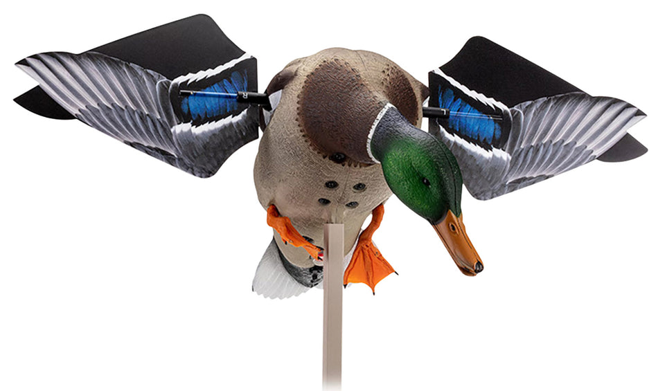 Avian-X AVXAVXDP100 PowerFlight Mallard Drake Spinning Wing Decoy Remote Control