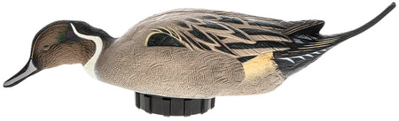 Avian-X AVXPSHPNSF Power Shaker Multi-Color Pintail Surface Feeder Decoy
