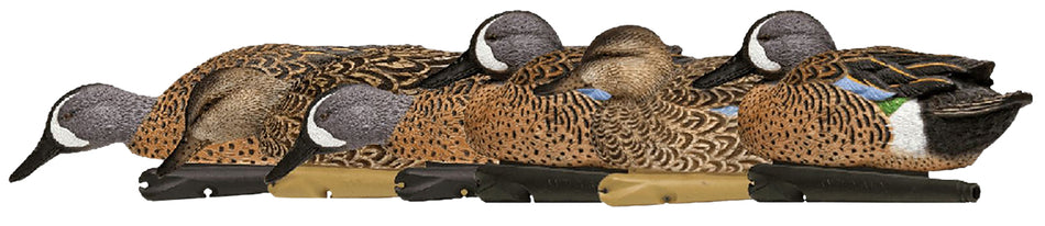 Avian-X AVXAVX8080 Topflight Multi-Color Blue-Winged Teal Floating Decoys 6 Pack