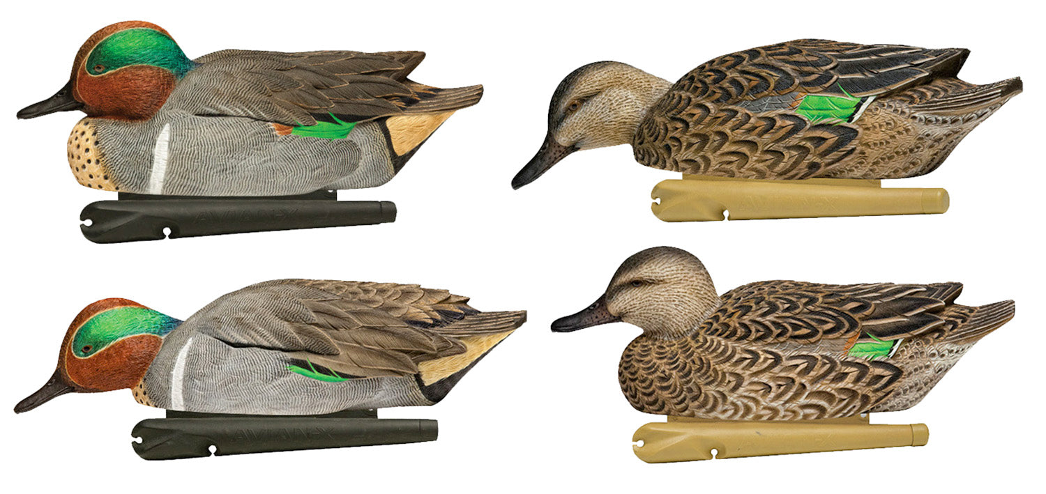 Avian-X AVXAVX8081 Topflight Multi-Color Green-Winged Teal Floating Decoys 6 Pack