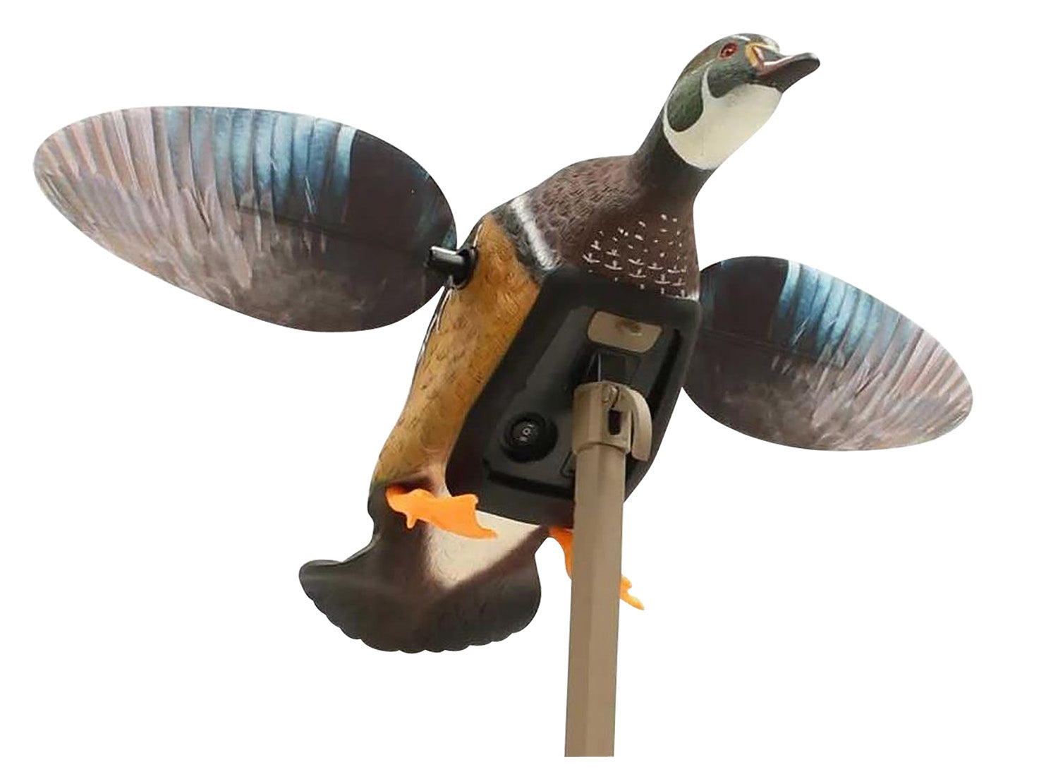 Mojo Outdoors Elite Series Woody Species Spinning Wing Duck Decoy, HW24723P