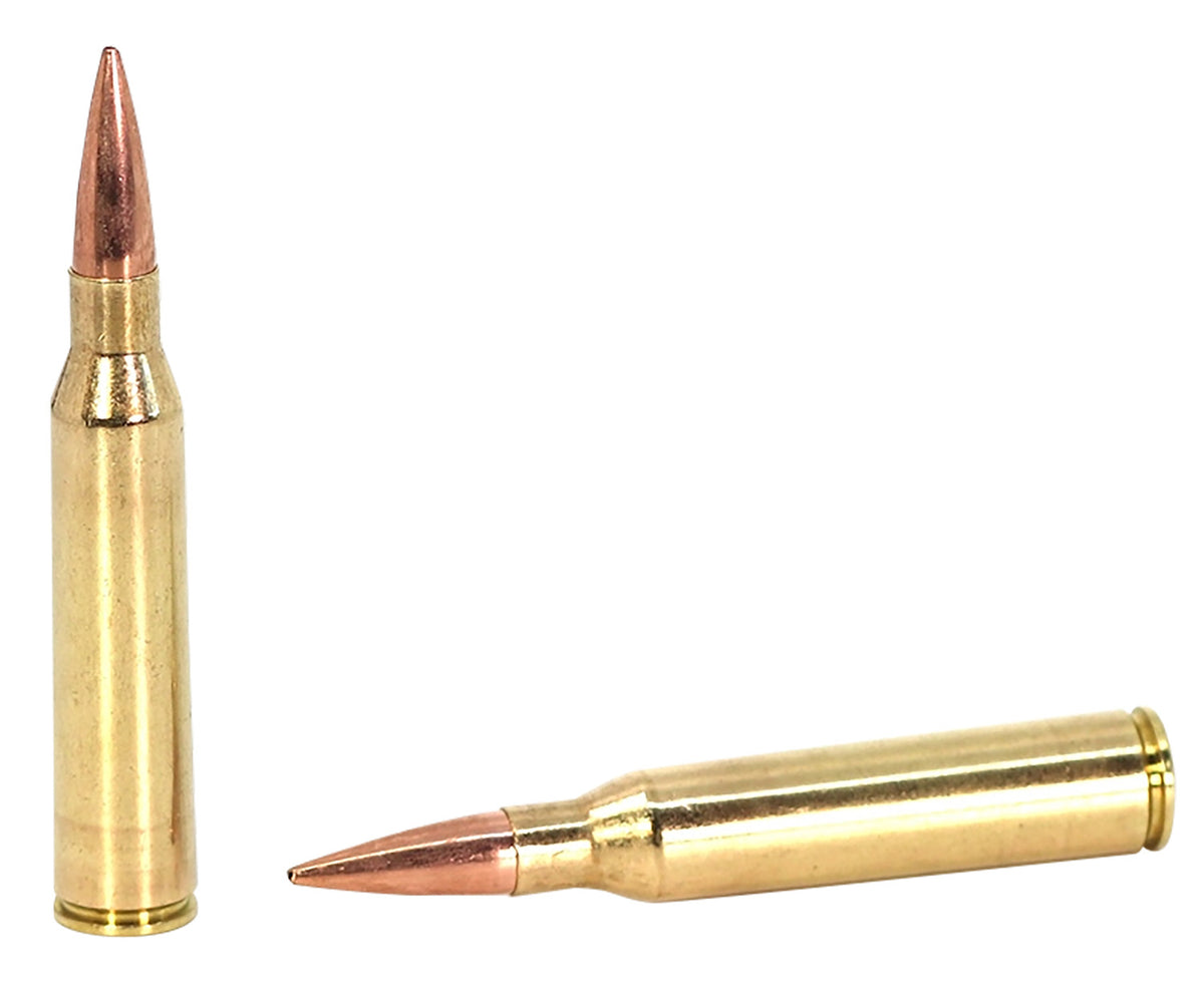Sako TRG Precision MatchKing Hollow Point Boat Tail 300 Grain .338 Lapua Magnum