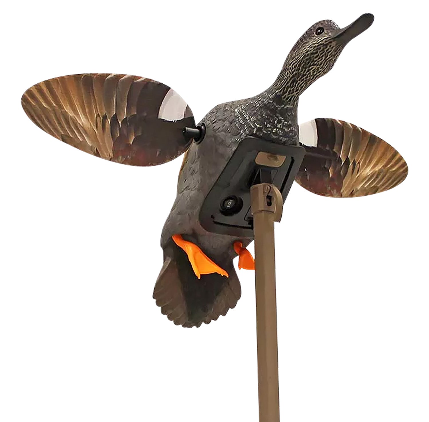 Mojo Outdoors Elite Series Gadwall Species Spinning Wing Decoy, HW24733P