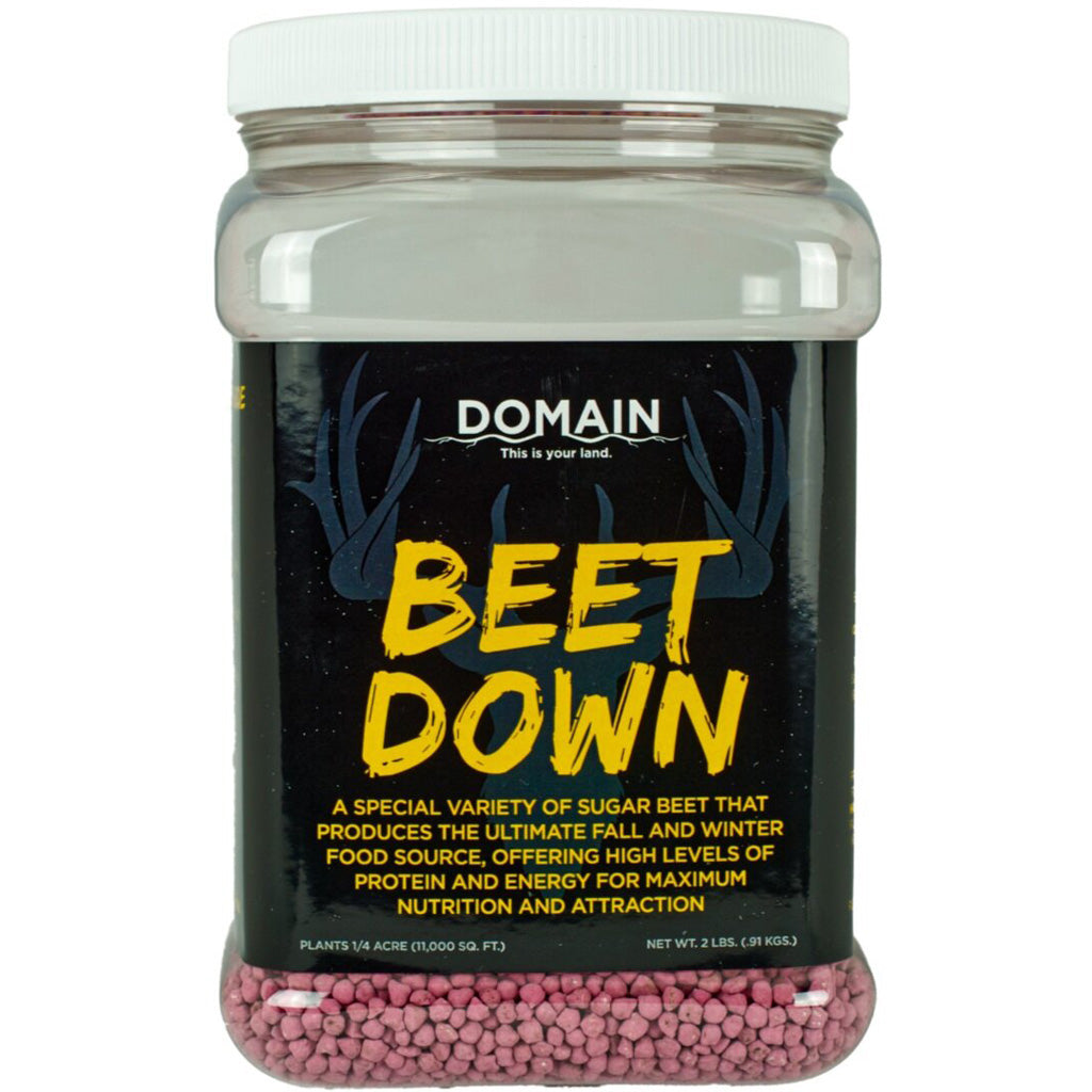 Domain Beet Down High-Yield Sugar Beet Seed - 1/4 Acre Plot