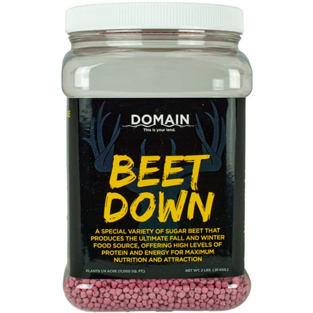 Domain Beet Down High-Yield Sugar Beet Seed - 1/4 Acre Plot
