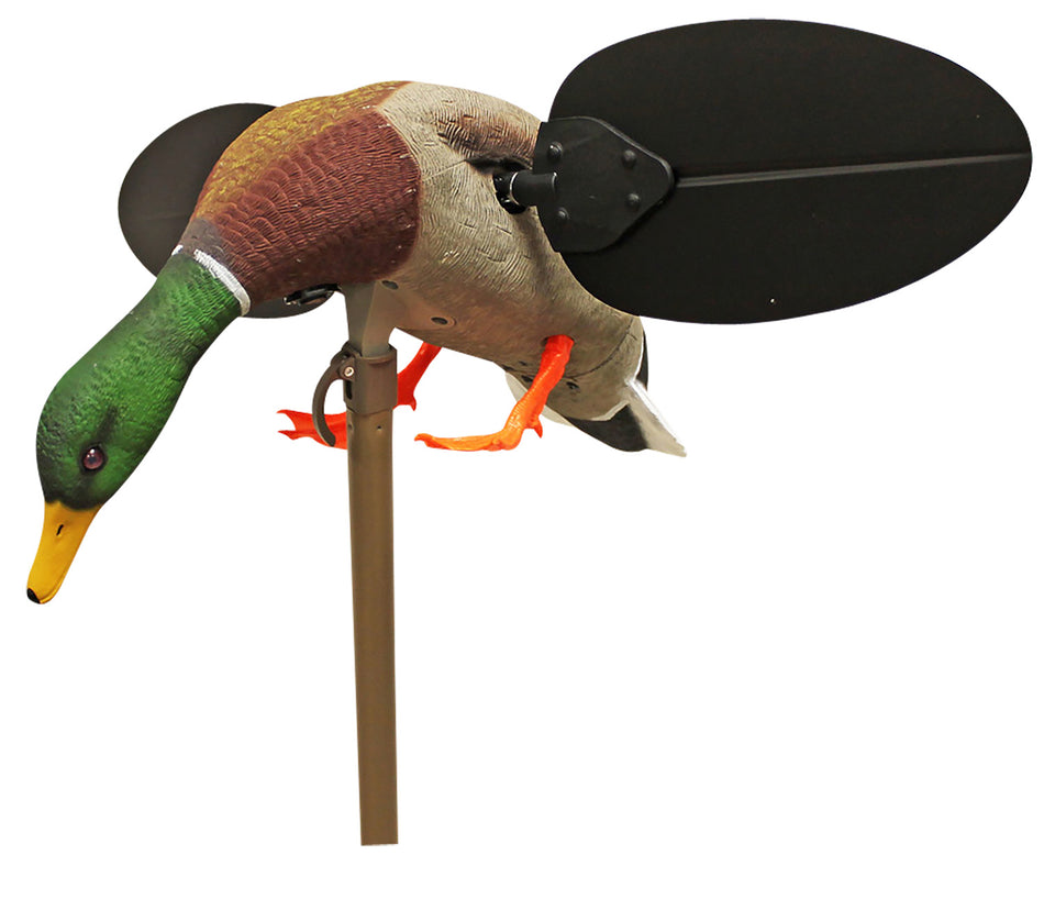 Mojo Outdoors Mallard Drake Spinning Wing Decoy with Remote, Multi Color, HW2533