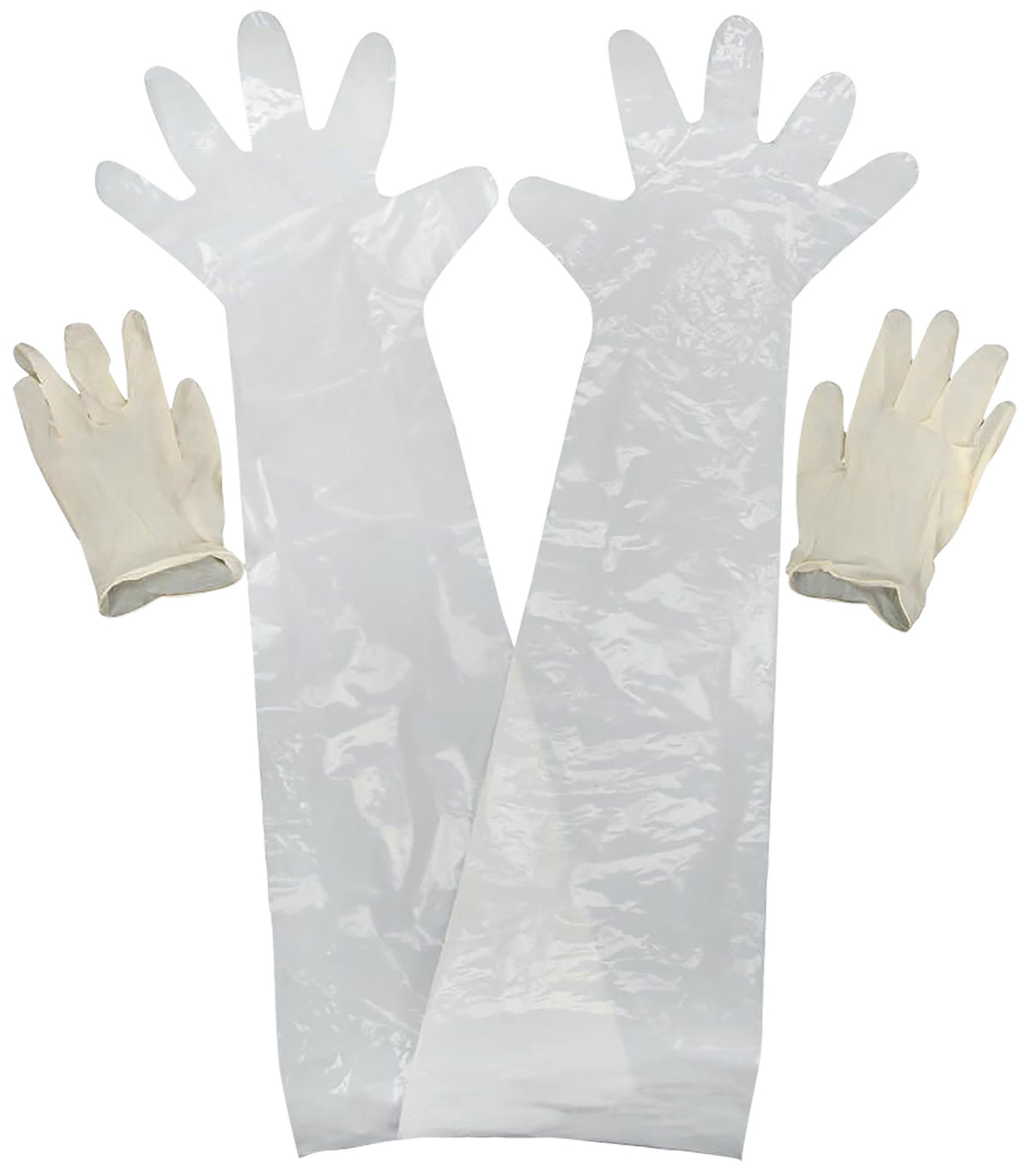 Allen Field Dressing Protective Latex Gloves 2 Pack Clear 51
