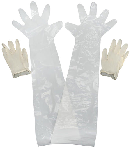 Allen Field Dressing Protective Latex Gloves 2 Pack Clear 51