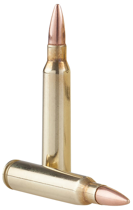 Prvi Partizan Tr&z Range Master 5.56x45mm NATO 55 grain Full Metal Jacket Boat Tail ammunition
