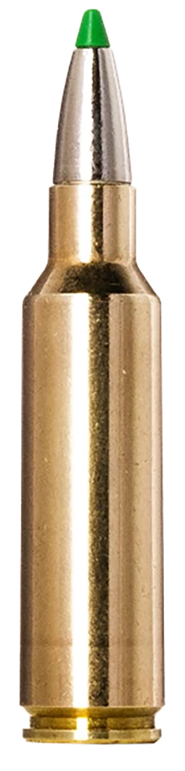 Norma Ecostrike .300 WSM 165 grain Boat Tail ammunition