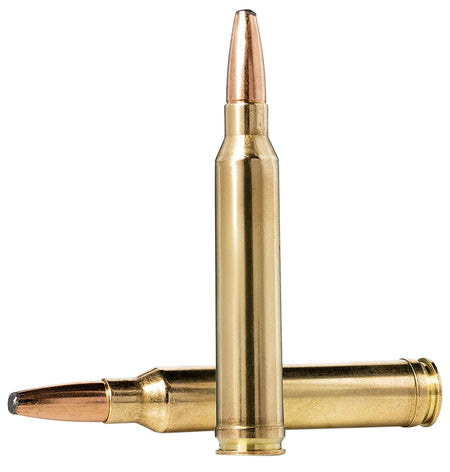Norma Oryx Bonded Soft Point 180 Grain .30-06 Springfield