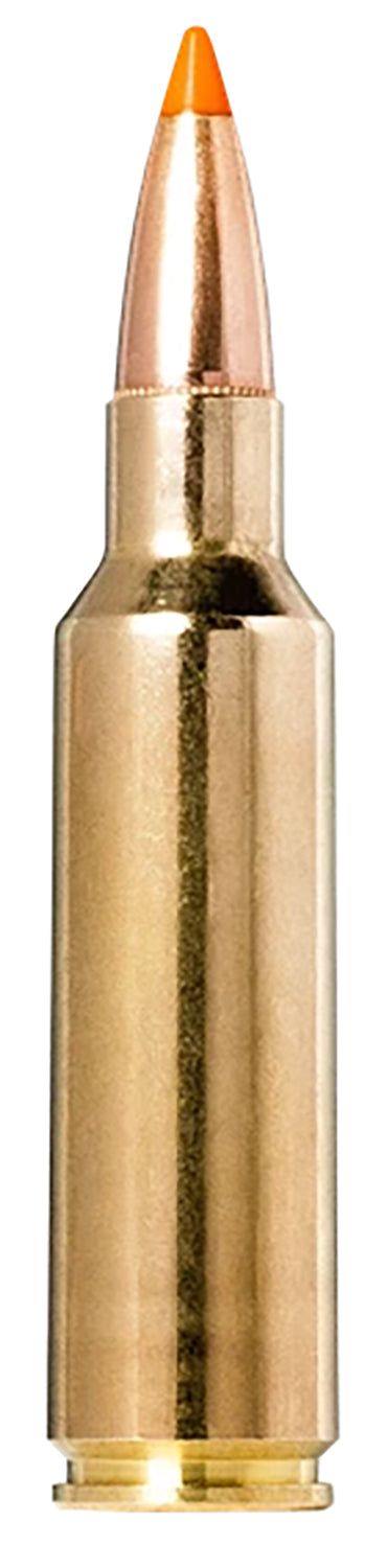 Norma Tipstrike  170 Grain .300 WSM