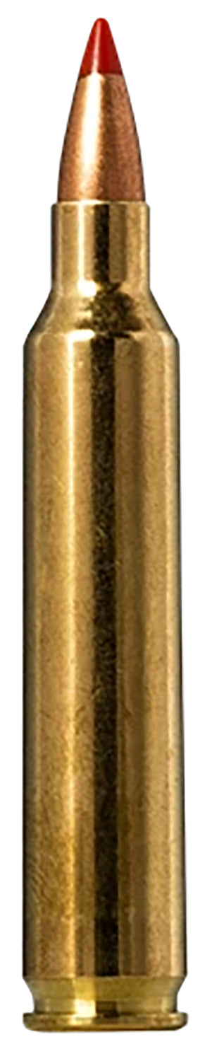 Norma Tipstrike .204 Ruger 40 grain V-Max ammunition
