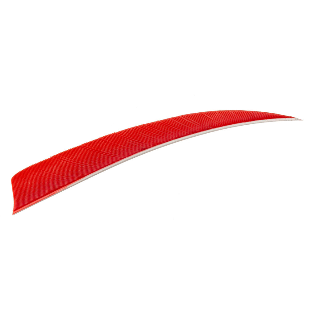 Trueflight 100-Pack Red LW 5 in. Shield Cut Arrow Feathers