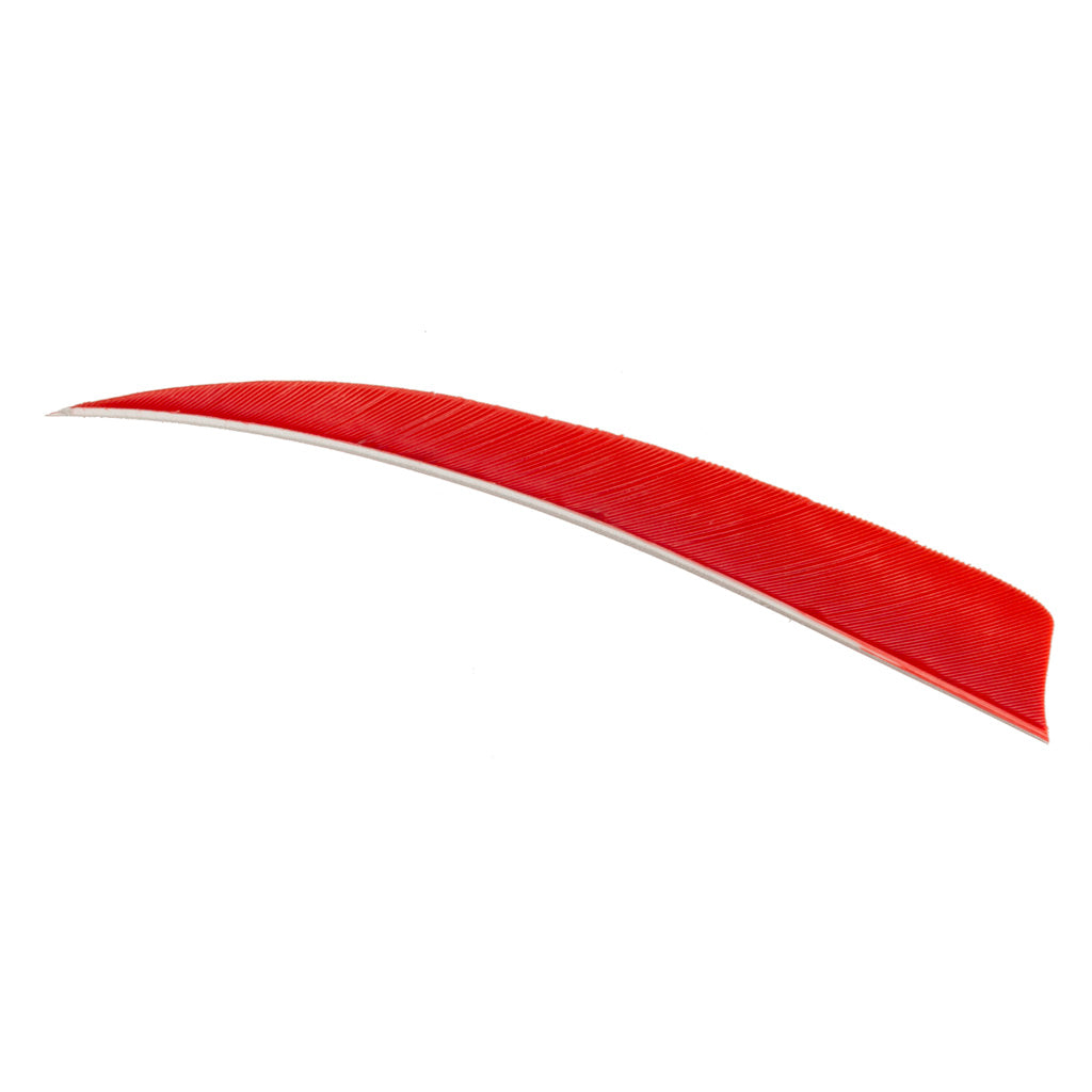 Trueflight 100-Pack Red RW 4 in. Shield Cut Arrow Feathers