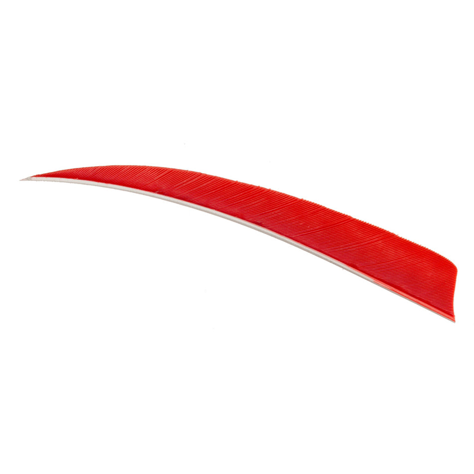 Trueflight 100-Pack Red RW 4 in. Shield Cut Arrow Feathers