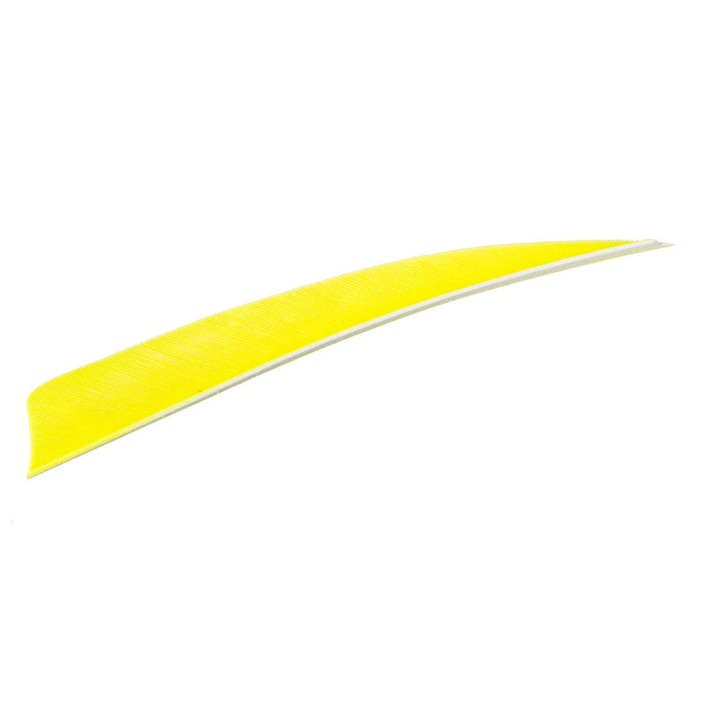 Trueflight Shield Cut Arrow Fletching Feathers Chartreuse 4 in. LW 100 pk.