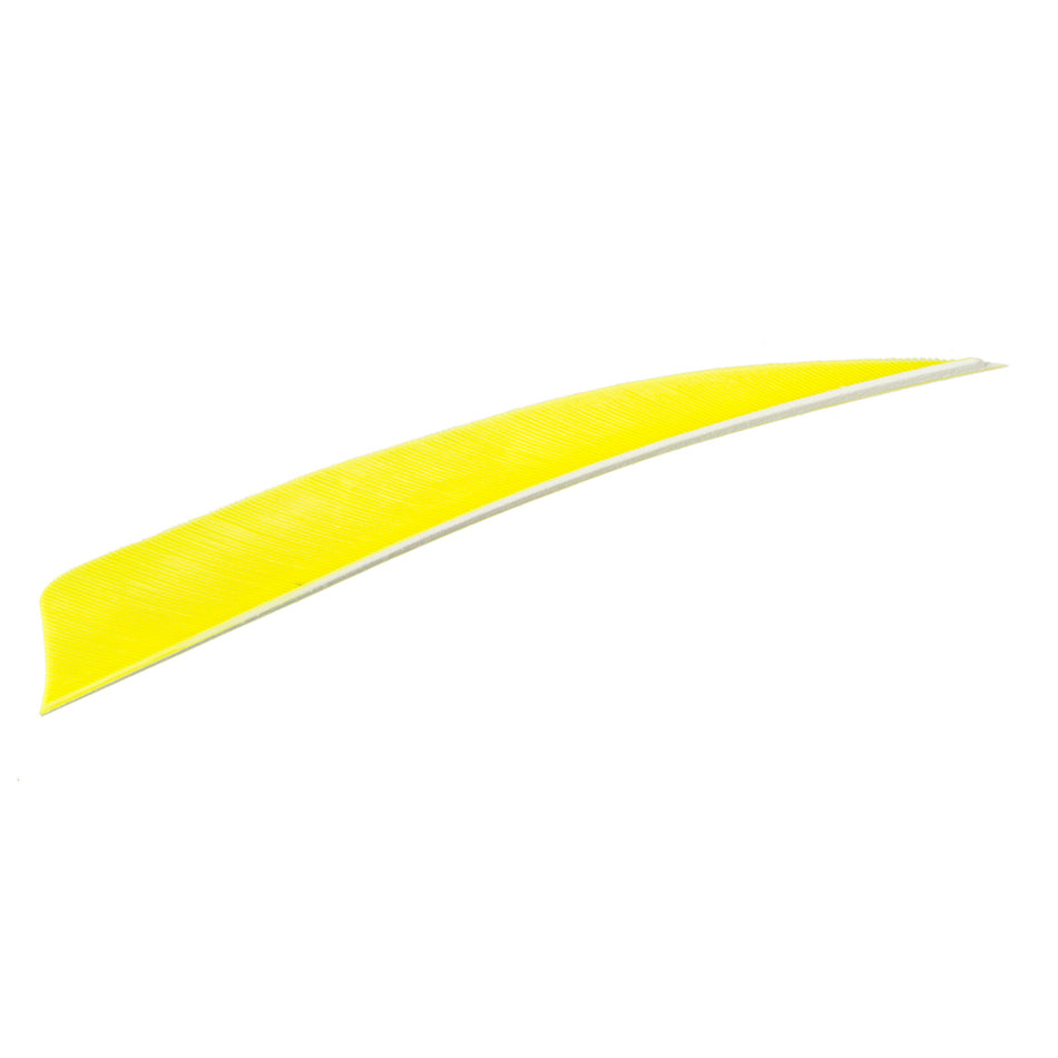 Trueflight Shield Cut Arrow Fletching Feathers Chartreuse 4 in. LW 100 pk.