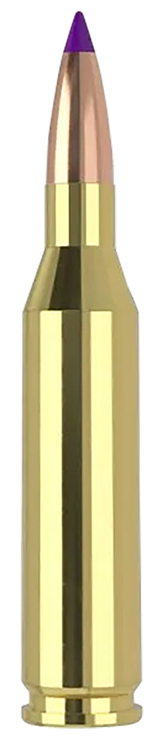 Nosler Ballistic Tip .243 Winchester 70 grain SP ammunition