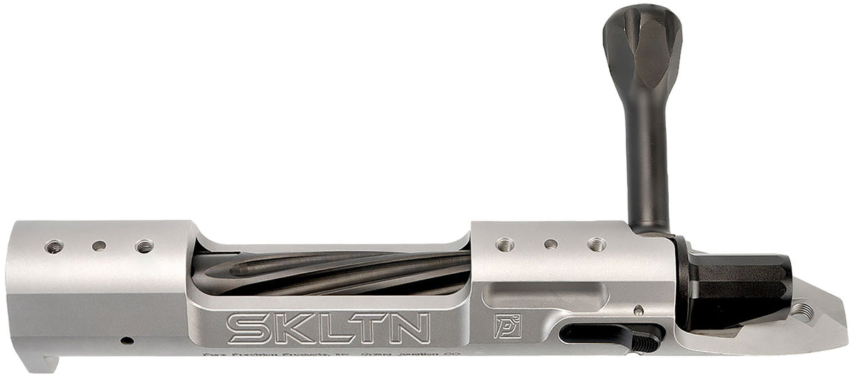P2 IN-00278 SKLTN SA RH MAGNUM SS
