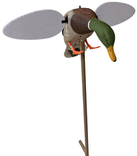 Mojo Outdoors Silver Mallard Anniversary Edition Motorized Duck Decoy, Remote-Ready, Multi-Color