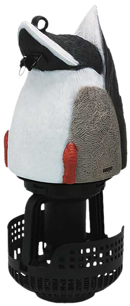 MOJO Outdoors Mallard Machine Motorized Water Decoy with Self-Righting Buoy Float, HW2534