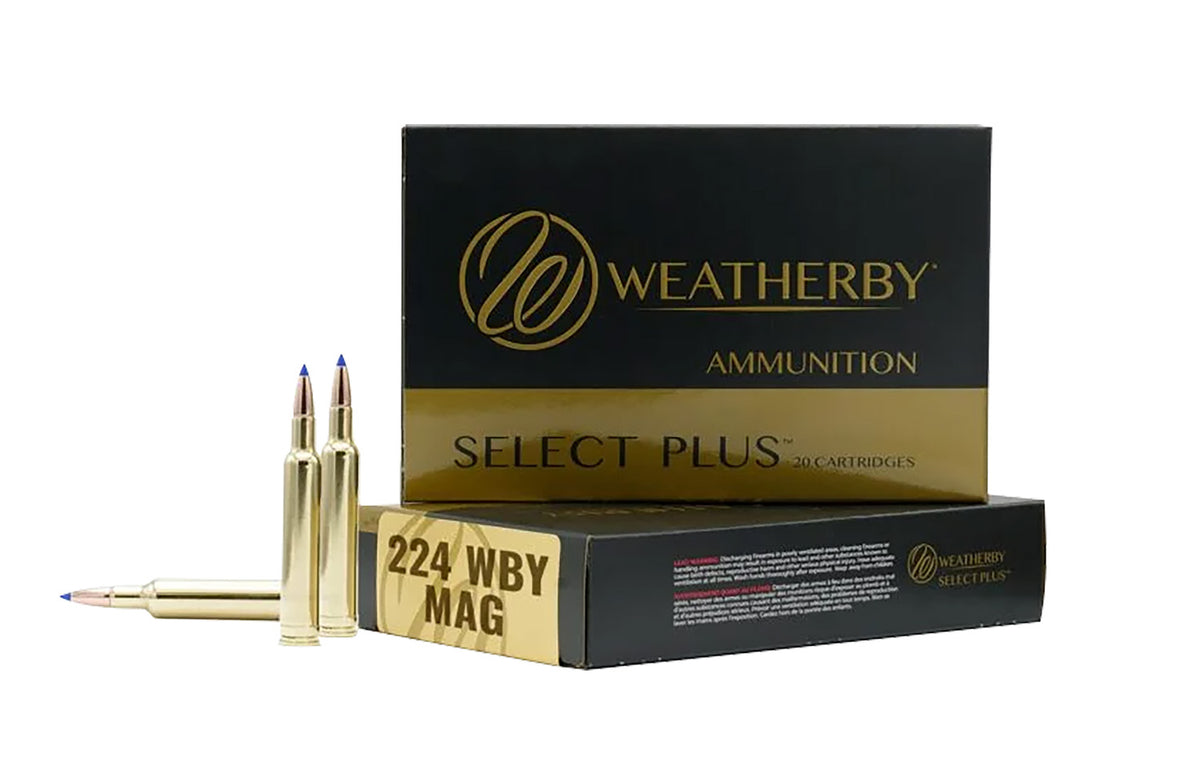 Weatherby  .224 Weatherby Mag 81 grain Jacketed Hollow Point ammunition