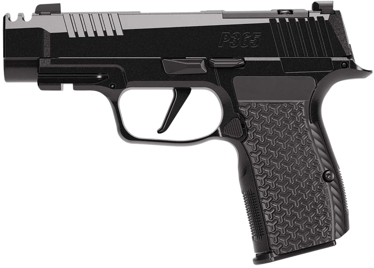 SIG 365AXG380COMPLUXE P365 380 3.1 OR 12R