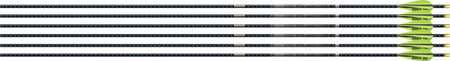 Easton 4MM FMJ 300 Arrow Set - 6 Pack with 3" AAE Hybrid Vanes