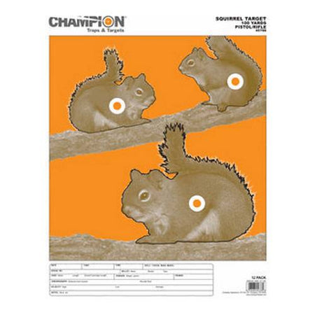 Large Squirrel Practice Shooting Targets 12 Count