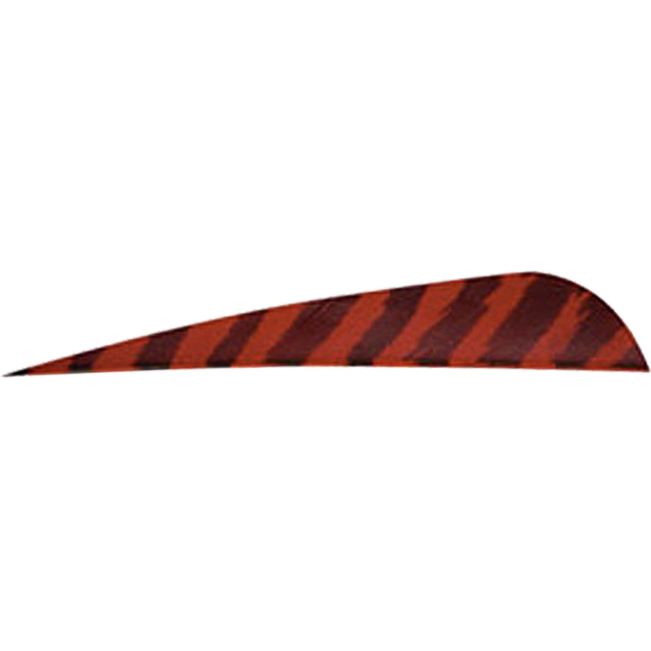 Gateway 4" Barred Red Right Wing Parabolic Feathers 50-Pack
