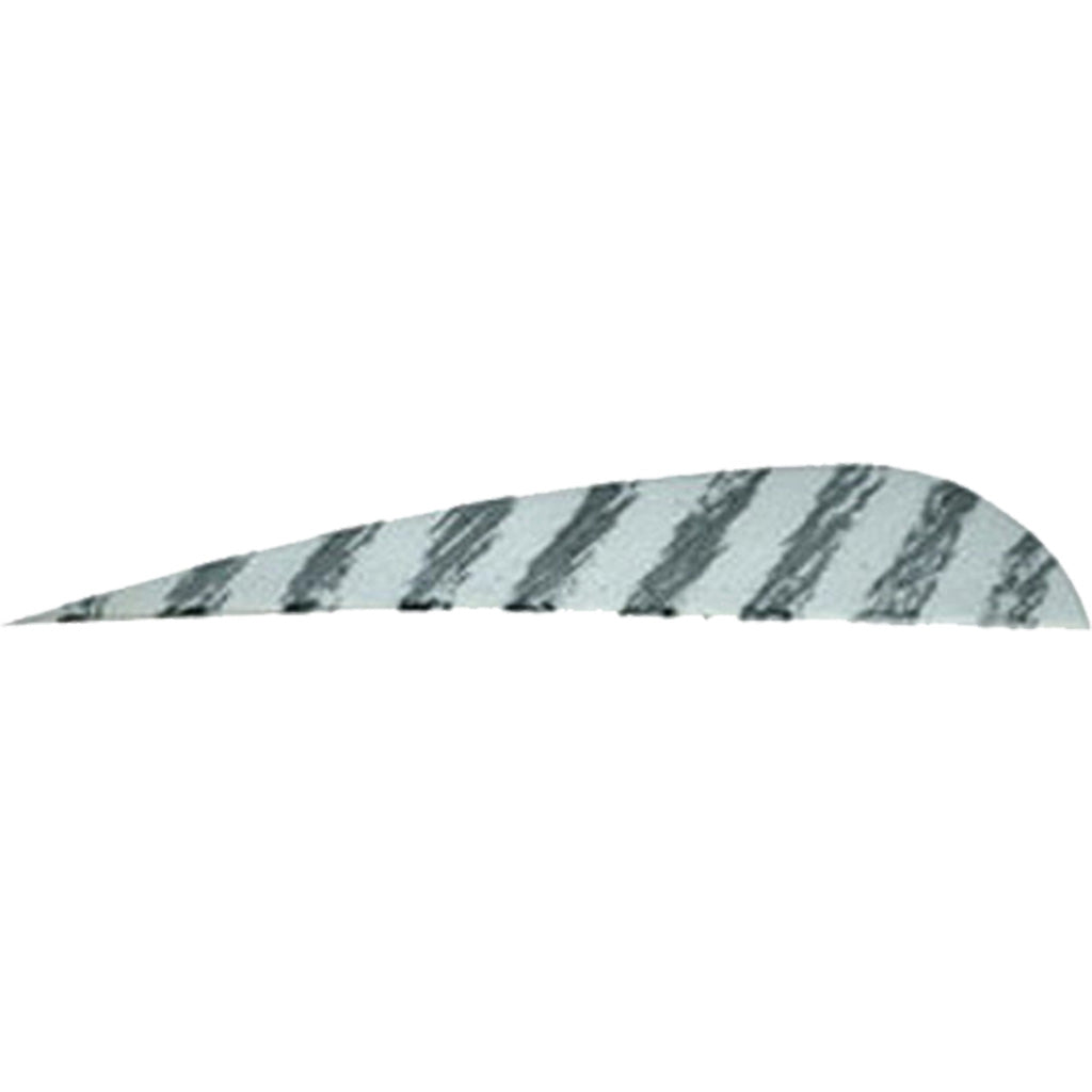 Gateway 4" Barred White Right Wing Parabolic Feathers 50-Pack