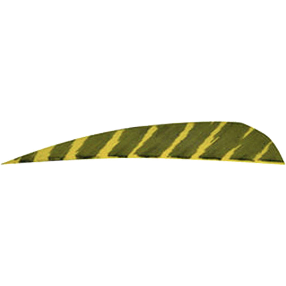 Gateway 4" Barred Yellow Right Wing Parabolic Feathers 50-Pack
