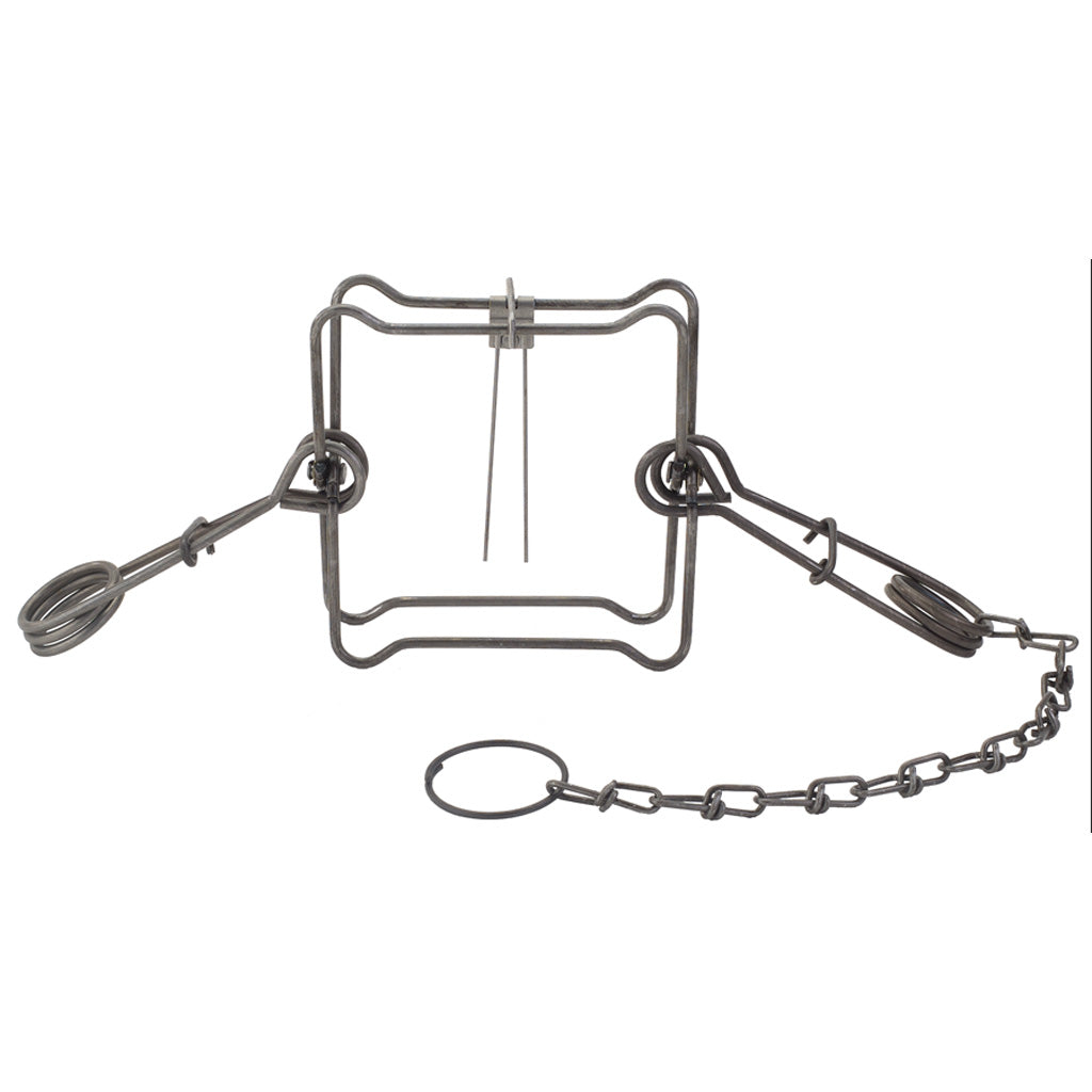 Duke Double Spring Body Grip Trap No. 160 for Raccoon