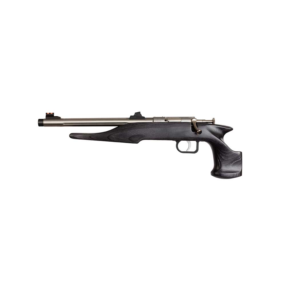 Chipmunk 40103 Hunter Youth Frame 22 LR Single Shot 9" Threaded Stainless Steel Barrel, Black Laminate Frame