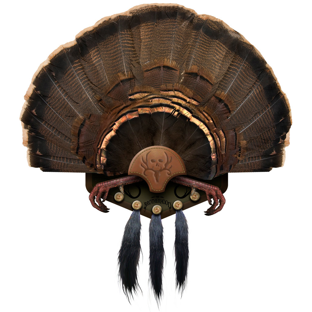 Mountain Mikes Turkey Fan and Beard Display 5 Beards