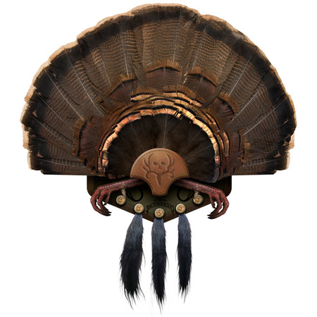 Mountain Mikes Turkey Fan and Beard Display 5 Beards