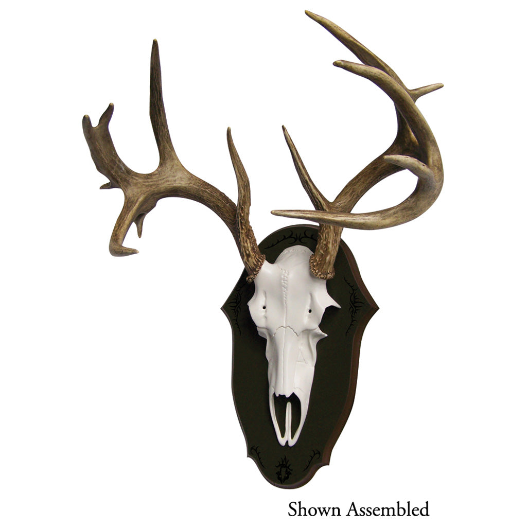 Mountain Mike's Black Forest Antler Mounting Kit for Deer