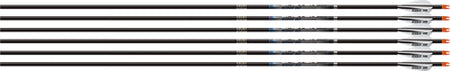 Easton 6.0 Sonic Match 300 3" AAE Hybrid Vane Arrows 6-Pack