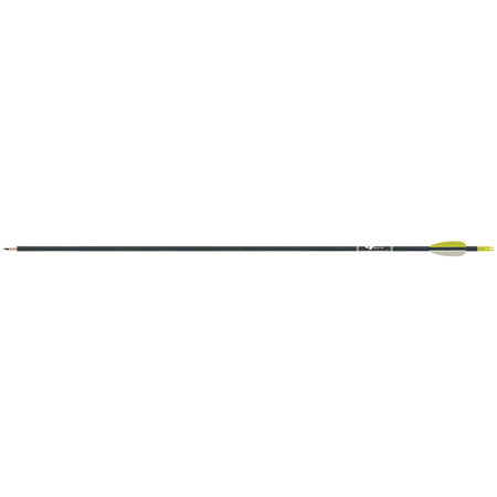 Gold Tip Black Fiberglass Economy Arrows 1 doz.