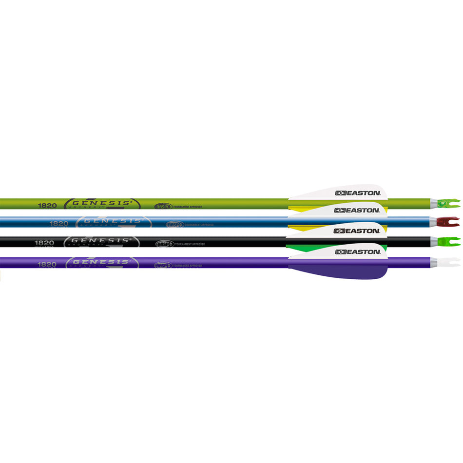 Easton 72-Pack Genesis Arrows 1820 3 in. Vanes Multi-Color