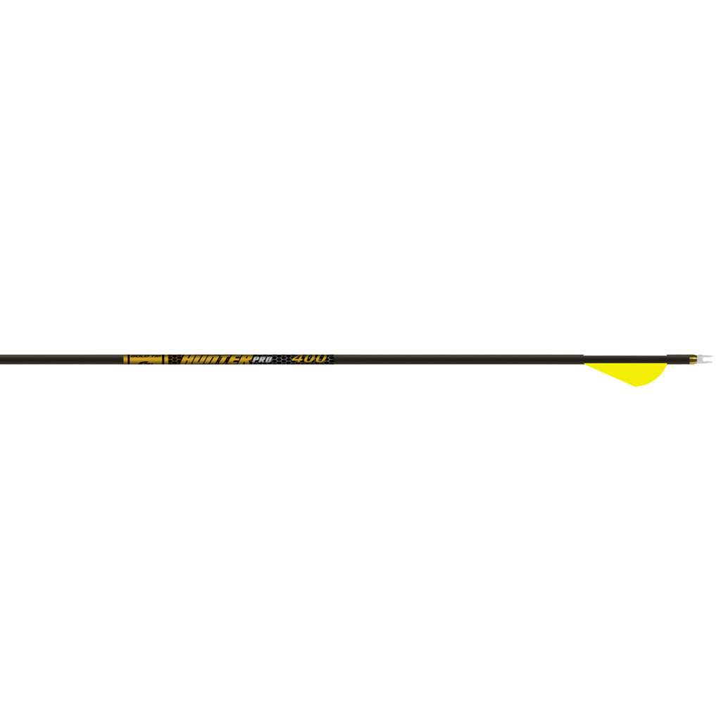 Gold Tip Hunter Pro 500 Arrows with 2 in. Raptor Vanes 6 pk.
